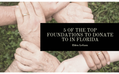 5 of the Top Foundations to Donate to in Florida